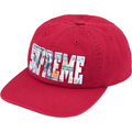 Supreme Embroidered Money Logo Red Cap